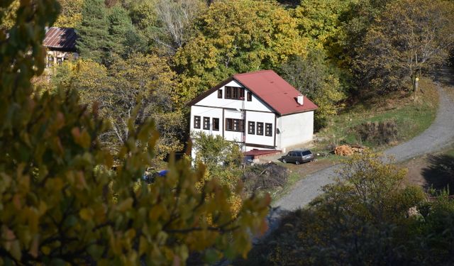 Tarihi Süleymaniye Mahallesi'nde sonbahar