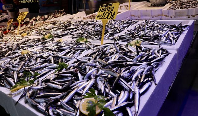 Trabzon'da hamsinin kilogramı 100 liradan satıldı
