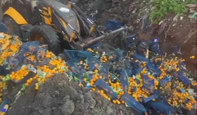 Artvin Sarp Sınır Kapısı'nda 6,1 ton mandalina imha edildi!