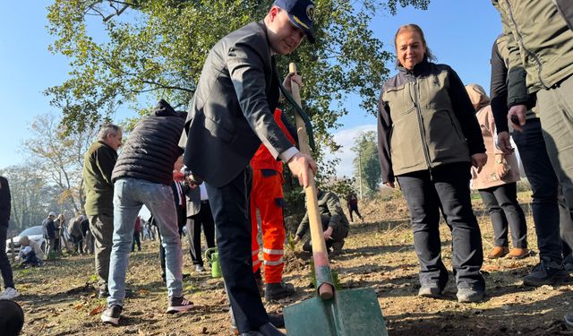 Düzce ve ilçelerinde fidanlar toprakla buluştu