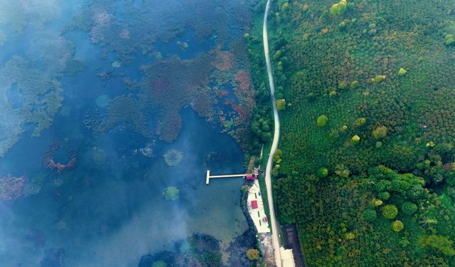 Efteni Kuş Cenneti'nde sonbahar renkleriyle sis ahenk oluşturdu