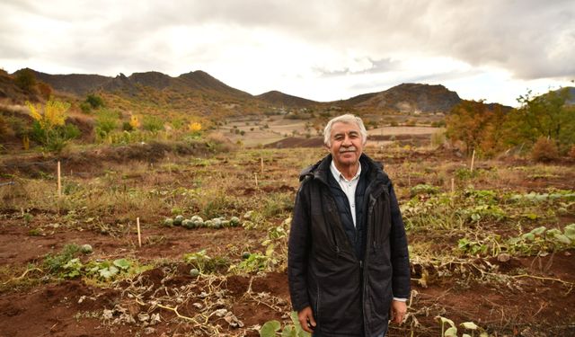 Giresun'da emekli banka müdürü 16 dönüm arazide Antep fıstığı bahçesi kurdu
