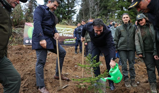 Giresun'da Milli Ağaçlandırma Günü etkinlikleri