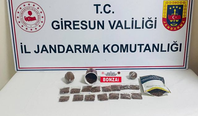 Giresun'da uyuşturucu operasyonu