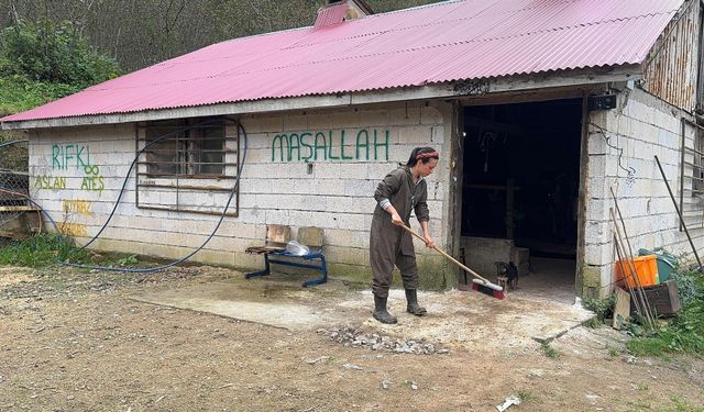 Giresunlu genç çift devlet desteğiyle mandıra kurdu