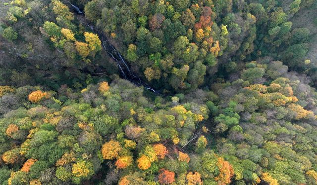Güzeldere Şelalesi Tabiat Parkı'nda sonbahar renkleri