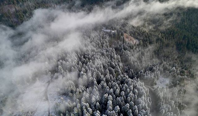 Karabük'te Sarıçiçek Yaylası'nda kar ve sis etkili oldu