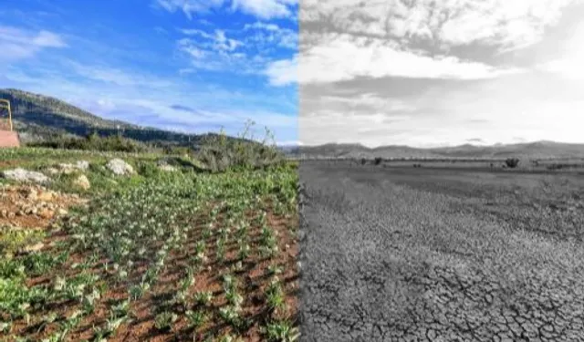 Mersin'de iklim ve yeşil dönüşüm önceliği