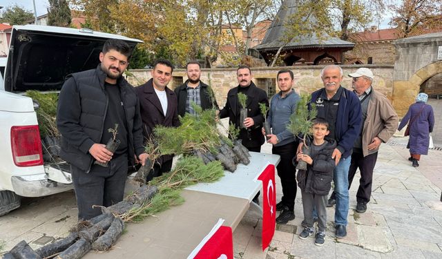 Merzifon'da şehit askerler için fidan dağıtıldı