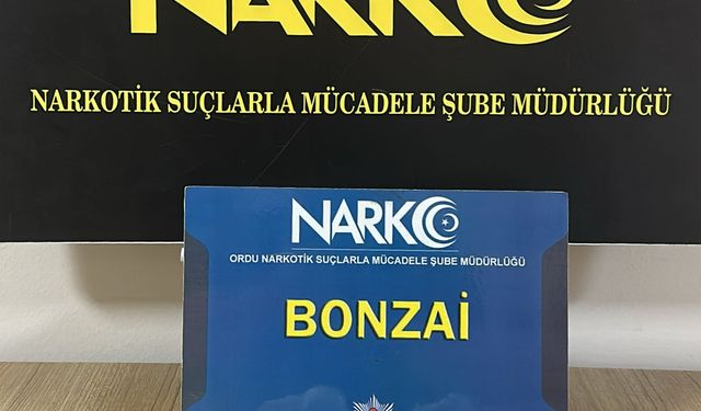 Ordu'da uyuşturucu ele geçirilen otomobildeki 3 kişi tutuklandı