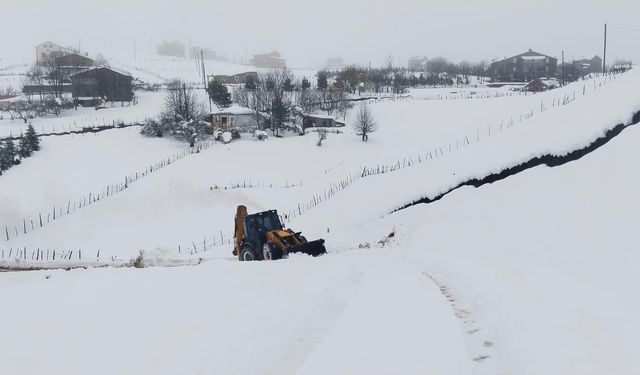 Ordu'nun yüksek kesimlerinde karla mücadele sürüyor