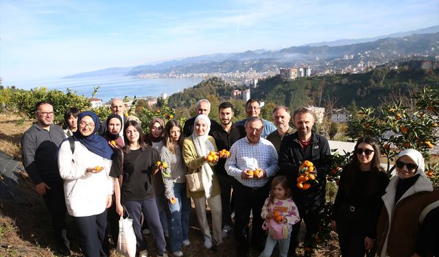 Rize'de 'Haydi Hep Birlikte Mandalina Hasadına' etkinliği düzenlendi
