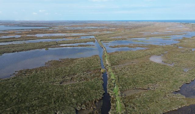 Samsun Kızılırmak Deltası'nda suları çekilen göller sonbahar yağışlarıyla canlandı
