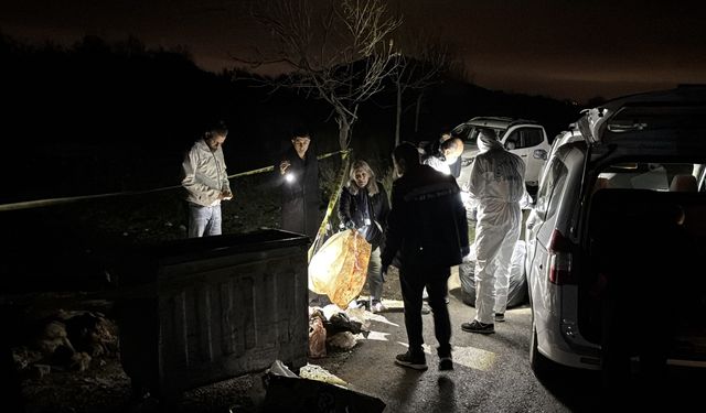 Samsun'da 9 köpeğin ölü bulunmasıyla ilgili soruşturma başlatıldı