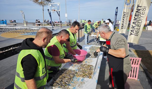 Samsun'da düzenlenen festivalde 3 ton hamsi 2 saatte tüketildi