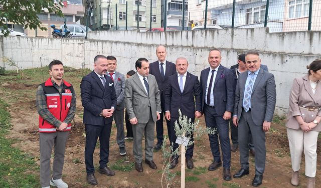 Tekkeköy'de okul bahçesine 50 meyve fidanı dikildi