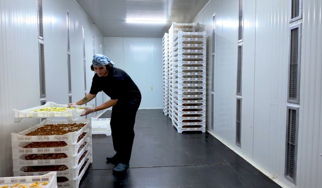 TOGÜ Çiftlik Tarım Ürünleri Kurutma Tesisi öğrencilerin yeni gözdesi oldu