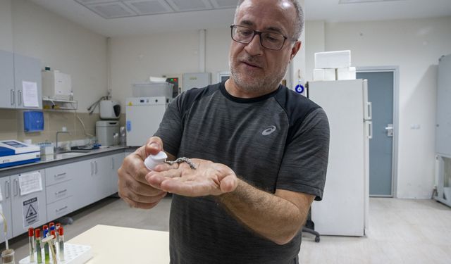 Türk akademisyenler, mürekkep balığından cilt onarıcı ve koruyucu güneş kremi üretti