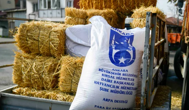 Ankara'da mandacılara yüzde yüz hibeli yem desteği