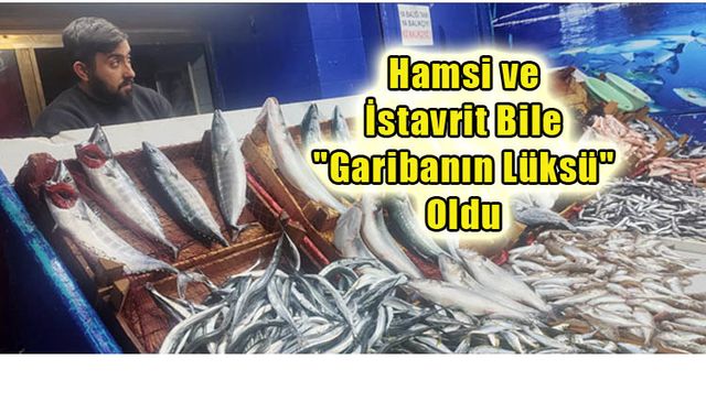 BALIK FİYATLARI UÇUŞTA