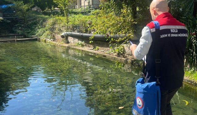 Bolu'da su ürünleri üretim tesislerinde denetimler sürüyor