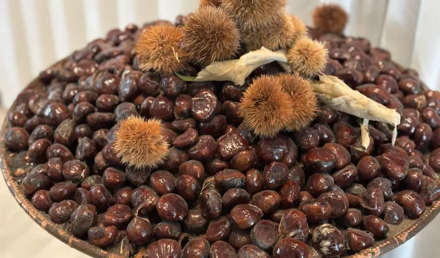 'Bursa Kestanesi'nin geleceği masaya yatırıldı