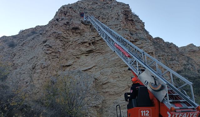 Çorum'da kayalıklarda mahsur kalan 4 keçiyi itfaiye kurtardı