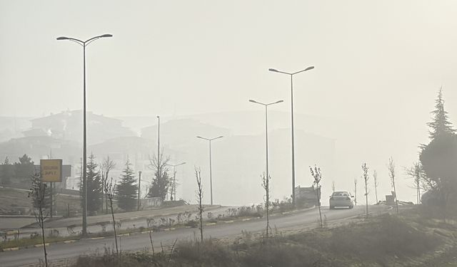 Karabük'te sis etkili oldu