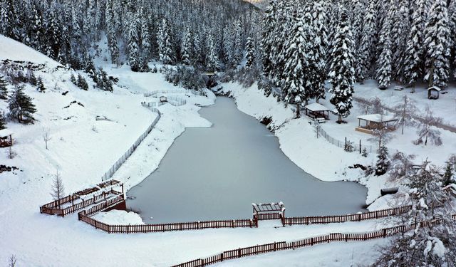 Mevsimin ilk karıyla gelinliğini giyen Deresökü Orman Parkı'nda görsel şölen oluştu