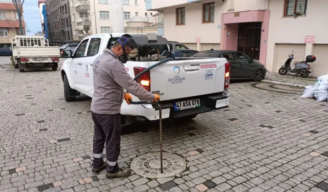 Ordu'da kışlak mücadelesi başladı 