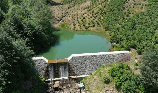 Ordu'da kuraklık riskine karşı gölet sayısı 100'e çıkarılacak