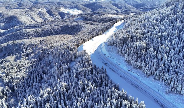 Ordu'nun Çambaşı Yaylası'nda kış manzarası havadan görüntülendi
