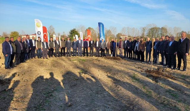 Samsun'da mor patlıcan incirinden sağlanacak gelirle kız öğrencilere burs verilecek