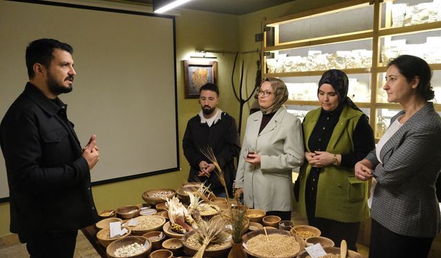 YÖK'ün 'Bilim Kafe' etkinliği, Mengen'deki Tohum Ambarı'nda yapıldı