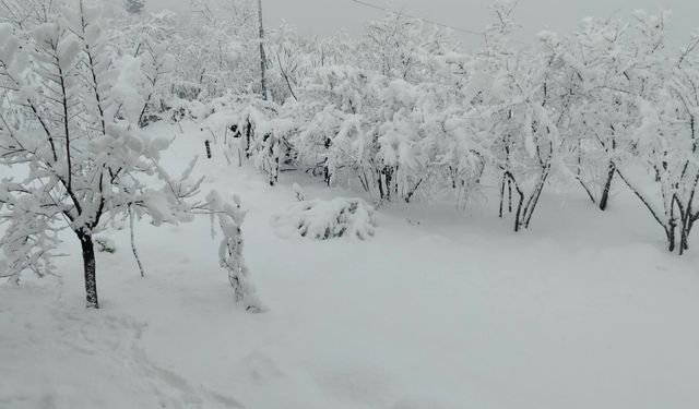 133 KÖYE ULAŞIM YOK