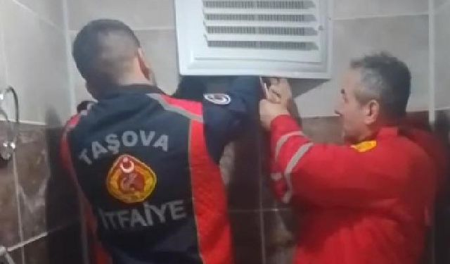 Amasya'da apartman boşluğunda mahsur kalan kargayı itfaiye kurtardı