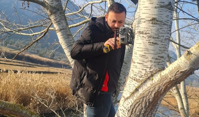 Çorum'da sulak alanlarda fotokapanlarla denetim başladı