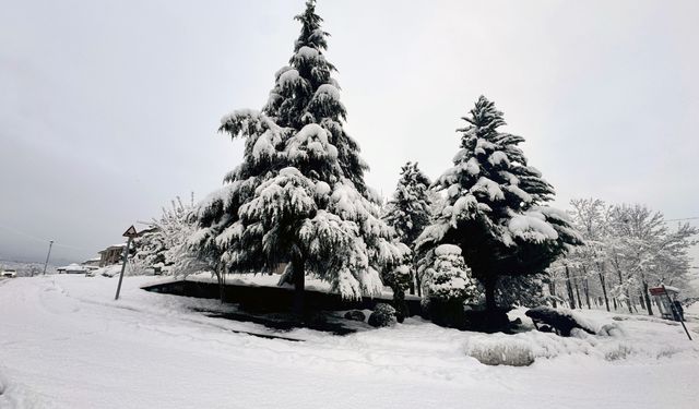EREĞLİ'DE 41 KÖY YOLU ULAŞIMA KAPALI