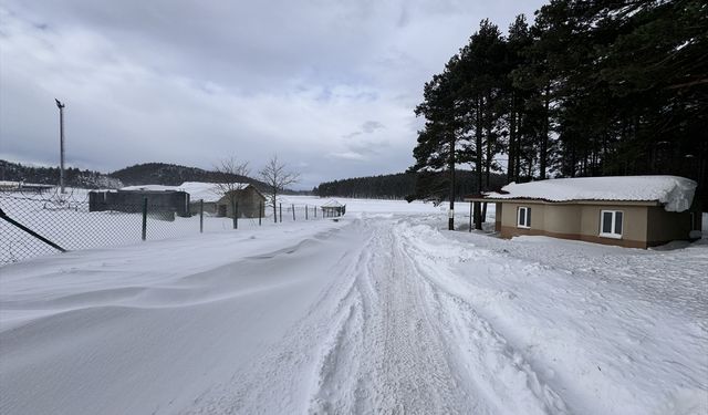 Düzce'deki Topuk Yaylası Göleti'nin yüzeyi buz tuttu
