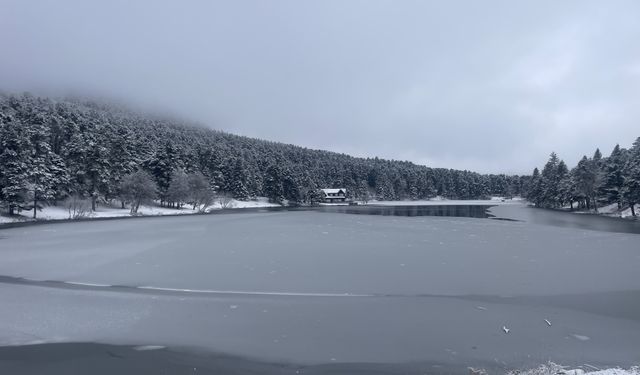 Gölcük Tabiat Parkı'nda kış manzaraları