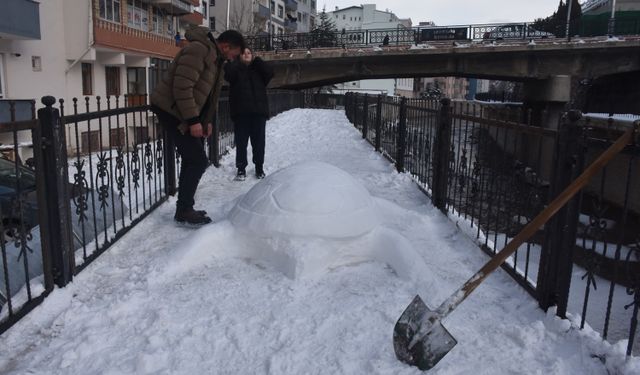 Gümüşhane'de tır şoförü kardan kaplumbağa yaptı