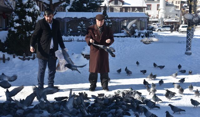 Gümüşhane'de yaban ve sokak hayvanları için doğaya yem bırakıldı