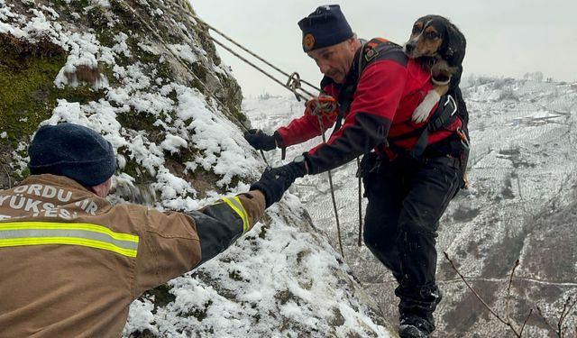 Ordu itfaiyesi 2025'te 6 bin 581 olaya müdahale etti