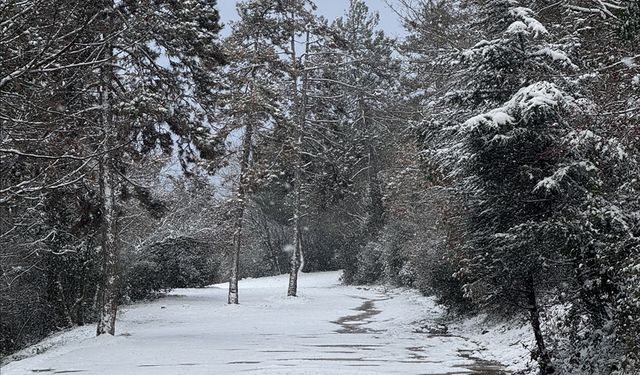 Sakarya ve çevre illerde kar etkili oldu