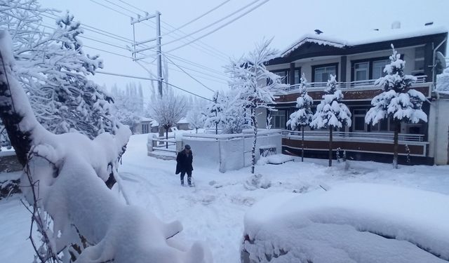 Tokat'ın ilçelerin kar yağışı devam ediyor