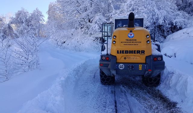 Trabzon'da karla mücadele çalışmaları sürüyor