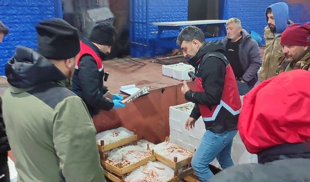 BALIK DENETİMİ, EL KONULDU, 2 İŞLETMEYE CEZA