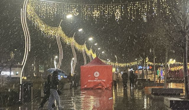 Bolu'da kar etkili oluyor