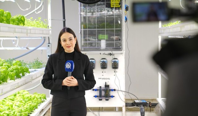 FAO Uluslararası Bilimde Kadınlar ve Kız Çocukları Günü için özel içerik hazırladı