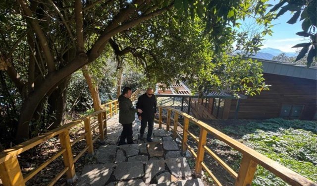 Giresun Valisi Koç, Giresun Adası'nda süren çalışmaları inceledi